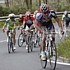 Frank Schleck w�hrend der dritten Etappe der Vuelta al Pais Vasco 2009
